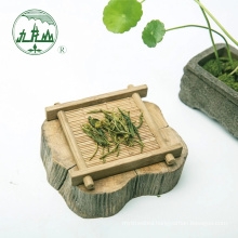 Gift Packing China Supplier Best Organic China MaoFeng Tea green tea